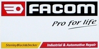 [Logo Facom 2013]